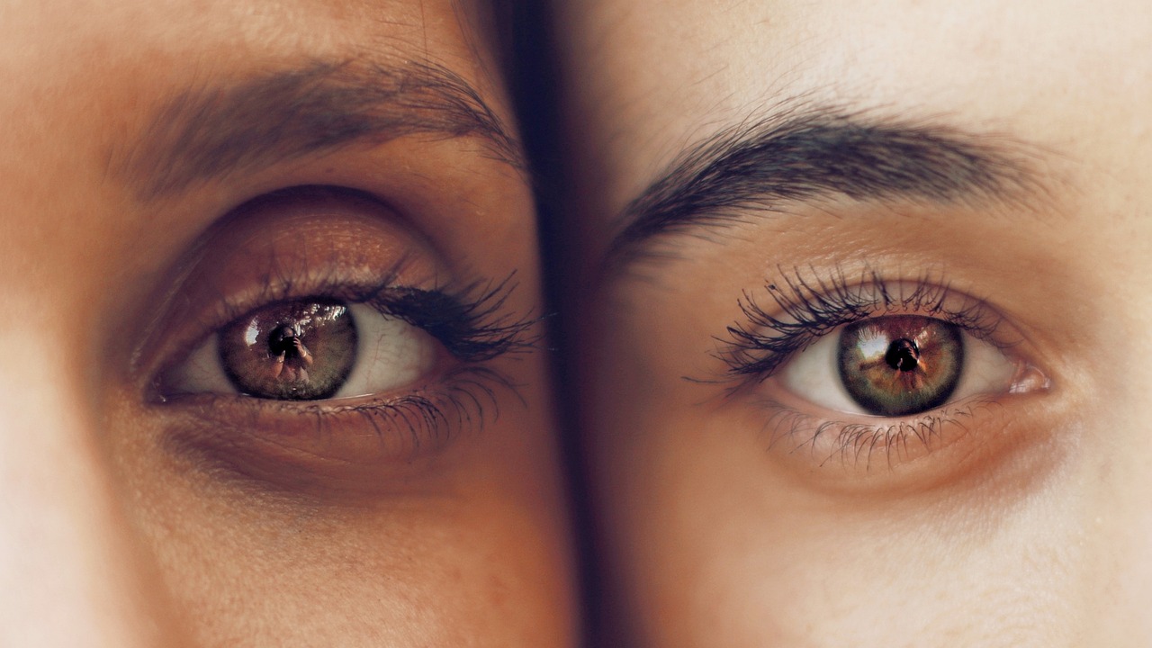 eyes, eyelashes, eyelid, eyebrows, iris, eyeball, people, eyelid, eyelid, eyelid, eyebrows, eyebrows, eyeball, eyeball, eyeball, eyeball, eyeball-2564517.jpg